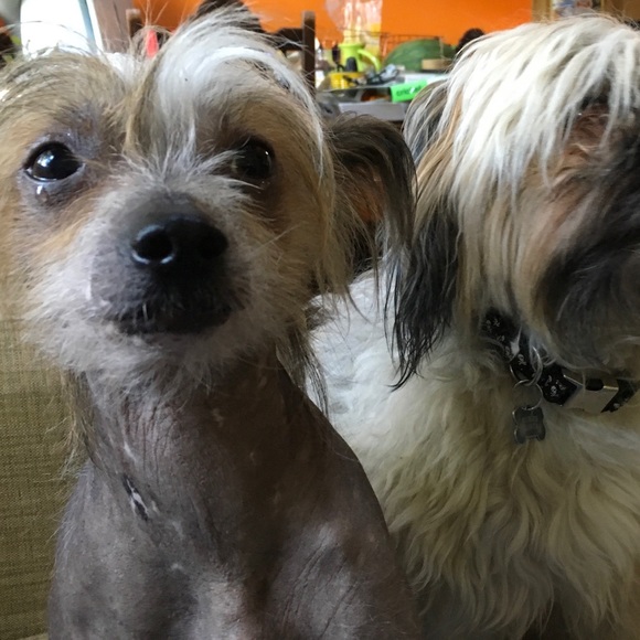 Meet your Posher, Meighan - Picture 3 of 7